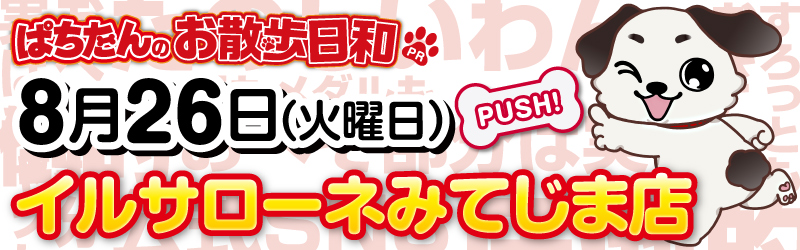 ぱちたんのお散歩日和