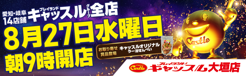プレイランドキャッスル大垣店