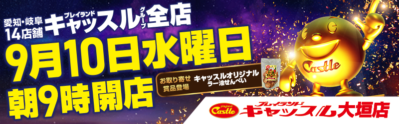 プレイランドキャッスル大垣店