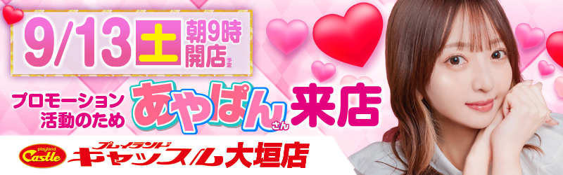 プレイランドキャッスル大垣店