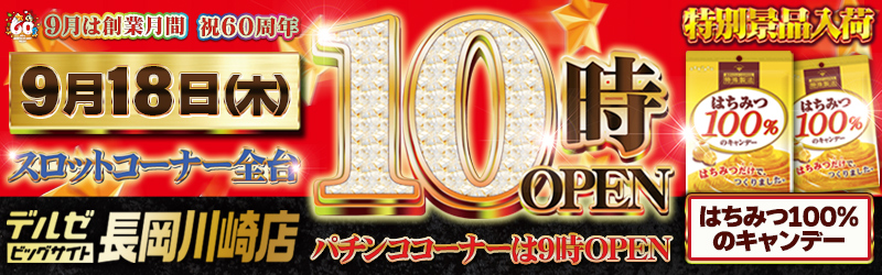 デルゼビッグサイト長岡川崎店