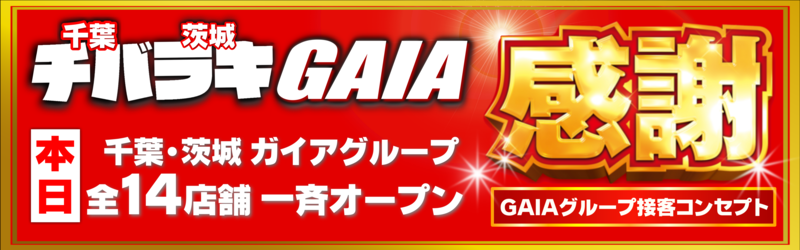 ガイア西船橋店