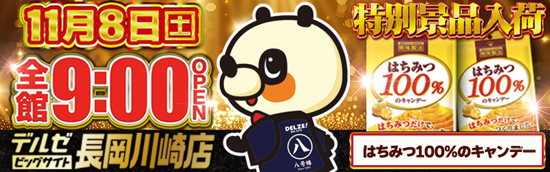 デルゼビッグサイト長岡川崎店