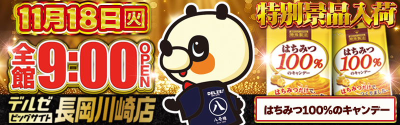 デルゼビッグサイト長岡川崎店