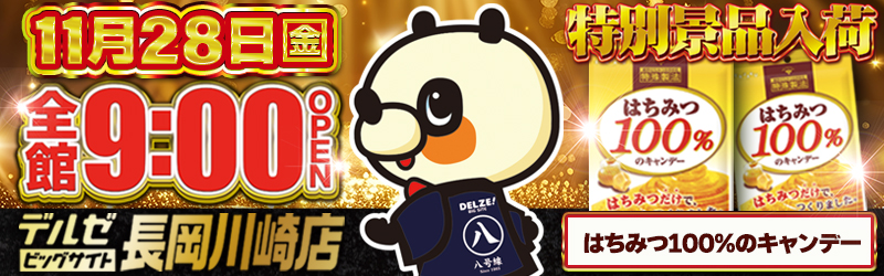 デルゼビッグサイト長岡川崎店