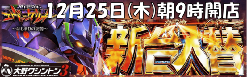 大野ワシントン3