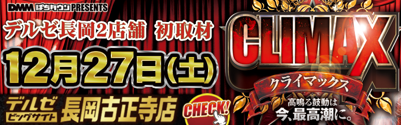 デルゼビッグサイト長岡古正寺店