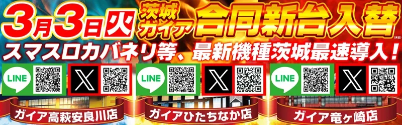 ガイアひたちなか店
