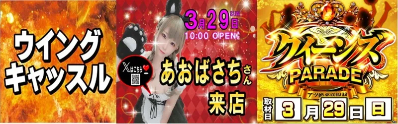 ウイングキャッスル