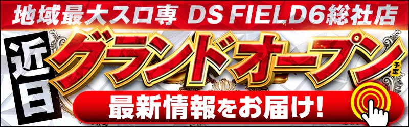 DS FIELD6 総社店