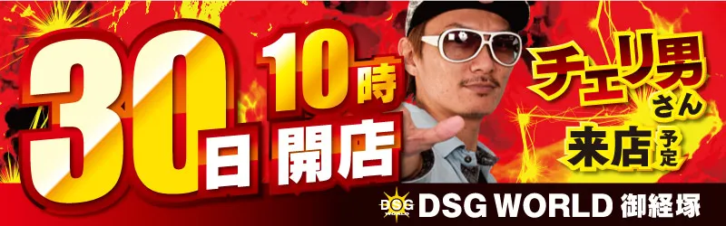 DSGワールド