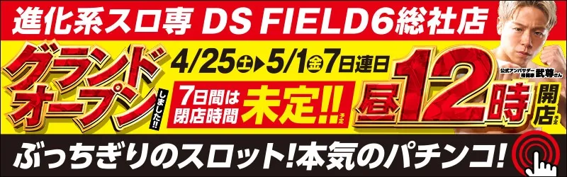 DS FIELD6 総社店