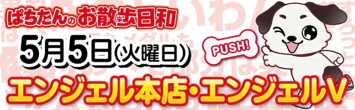 ぱちたんのお散歩日和