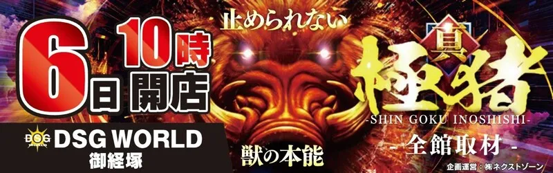 DSGワールド