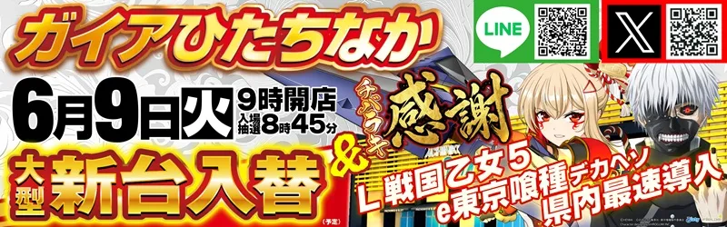 ガイアひたちなか店