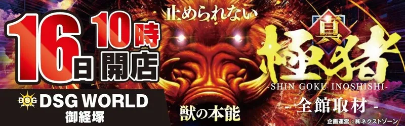 DSGワールド