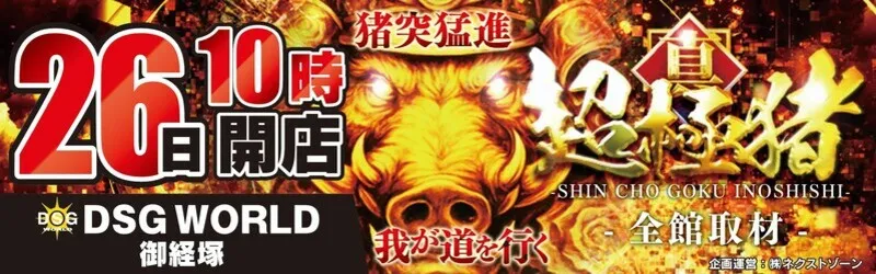 DSGワールド