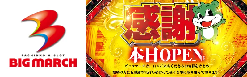 ビックマーチひたちなか店