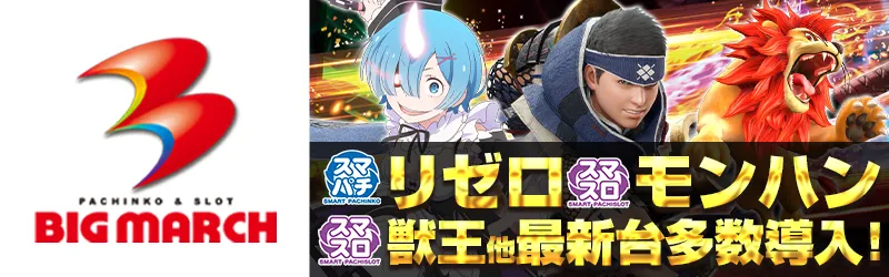 ビックマーチひたちなか店
