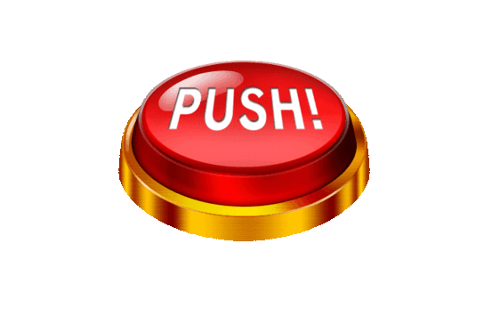 ワンダーランド柳川の最新情報画像