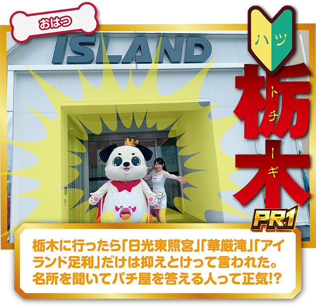 https://cdn.p-town.dmm.com/editor/ライティングZERO/PR1/kekka/2026/05tsuki/0503_iLand_ashikaga/narabi.jpg
