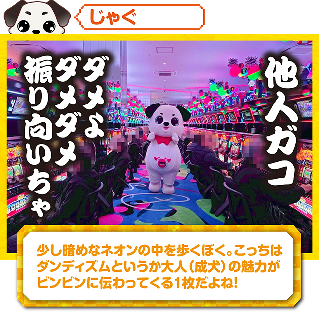 https://cdn.p-town.dmm.com/editor/ライティングZERO/kokohore_wanwan/kekka/2026/02tsuki/0211_super_Dstation_oota/top.jpg