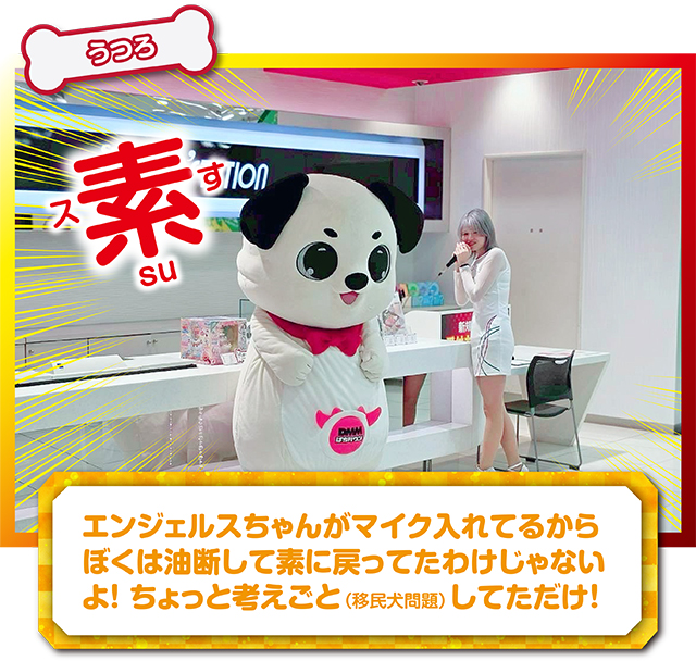 https://cdn.p-town.dmm.com/editor/ライティングZERO/kokohore_wanwan/kekka/2026/02tsuki/0211_super_Dstation_oota/top.jpg