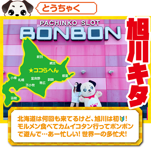 https://cdn.p-town.dmm.com/editor/ライティングZERO/kokohore_wanwan/kekka/2026/02tsuki/0222_bonbon/top.jpg