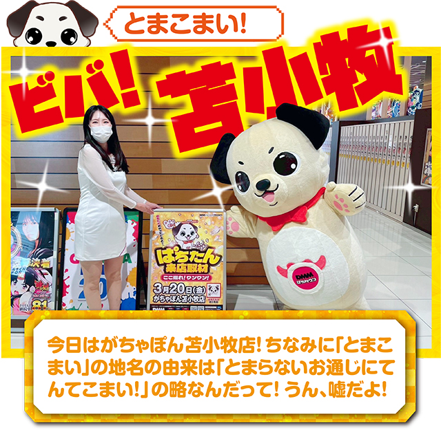 https://cdn.p-town.dmm.com/editor/ライティングZERO/kokohore_wanwan/kekka/2026/03tsuki/0320_gachapon_tomakomai/top.jpg