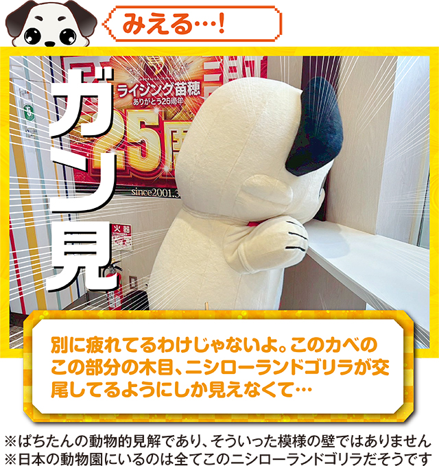 https://cdn.p-town.dmm.com/editor/ライティングZERO/kokohore_wanwan/kekka/2026/03tsuki/0321_rising_naebo/top.jpg
