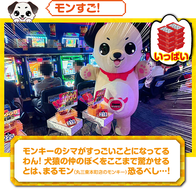 https://cdn.p-town.dmm.com/editor/ライティングZERO/kokohore_wanwan/kekka/2026/07tsuki/0723_marusan/top.jpg