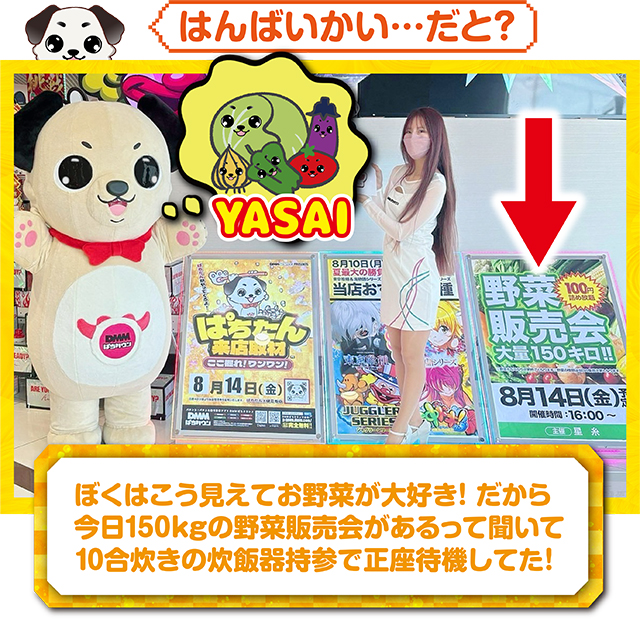 https://cdn.p-town.dmm.com/editor/ライティングZERO/kokohore_wanwan/kekka/2026/08tsuki/0814_angkor7/top.jpg