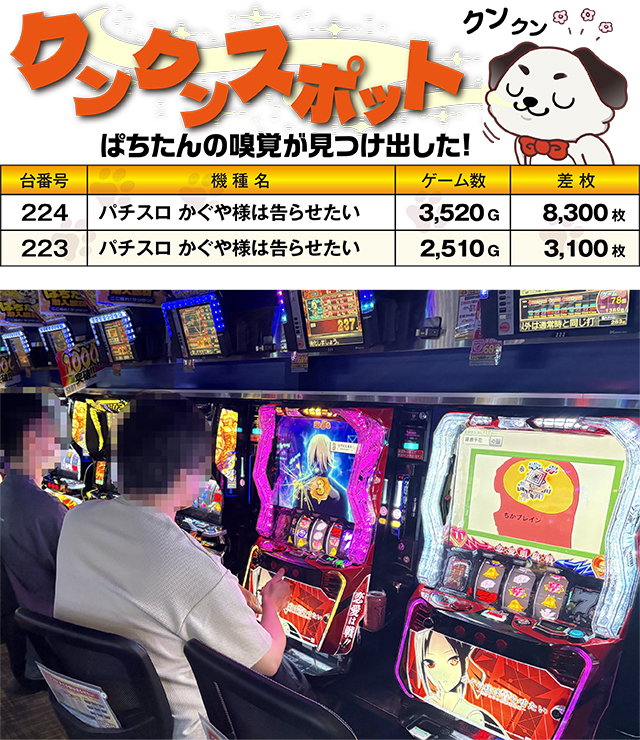 https://cdn.p-town.dmm.com/editor/ライティングZERO/kokohore_wanwan/kekka/2026/08tsuki/0822_marusan_higashi/top.jpg