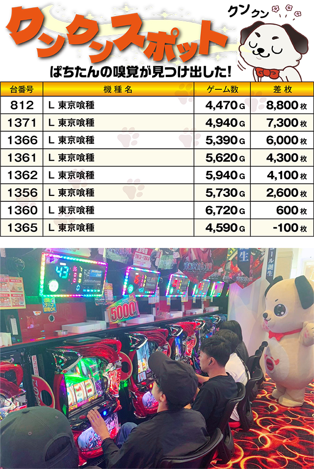 https://cdn.p-town.dmm.com/editor/ライティングZERO/kokohore_wanwan/kekka/2026/09tsuki/0910_ancoal7/top.jpg