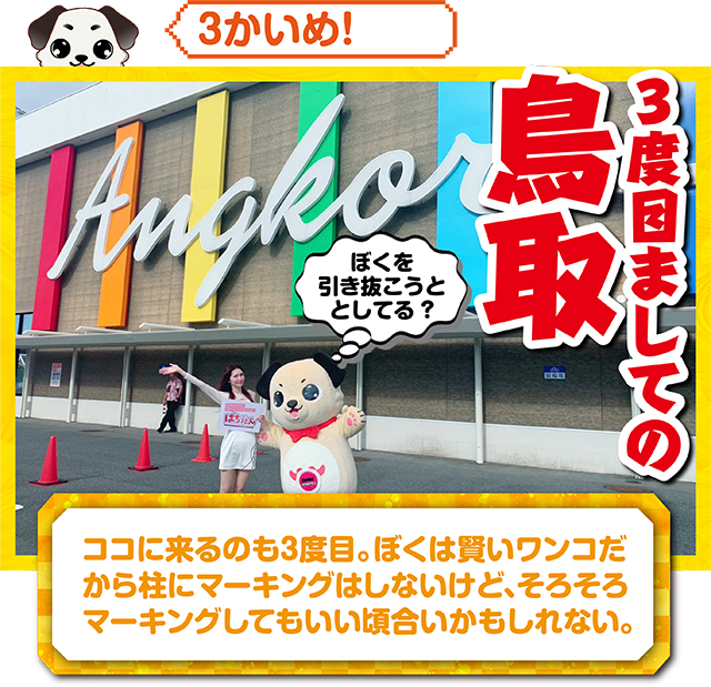https://cdn.p-town.dmm.com/editor/ライティングZERO/kokohore_wanwan/kekka/2026/09tsuki/0910_ancoal7/top.jpg