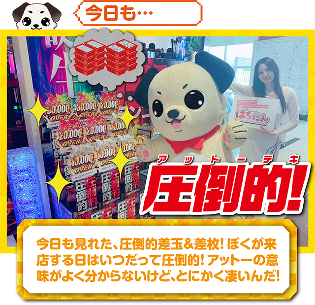 https://cdn.p-town.dmm.com/editor/ライティングZERO/kokohore_wanwan/kekka/2026/09tsuki/0910_ancoal7/top.jpg
