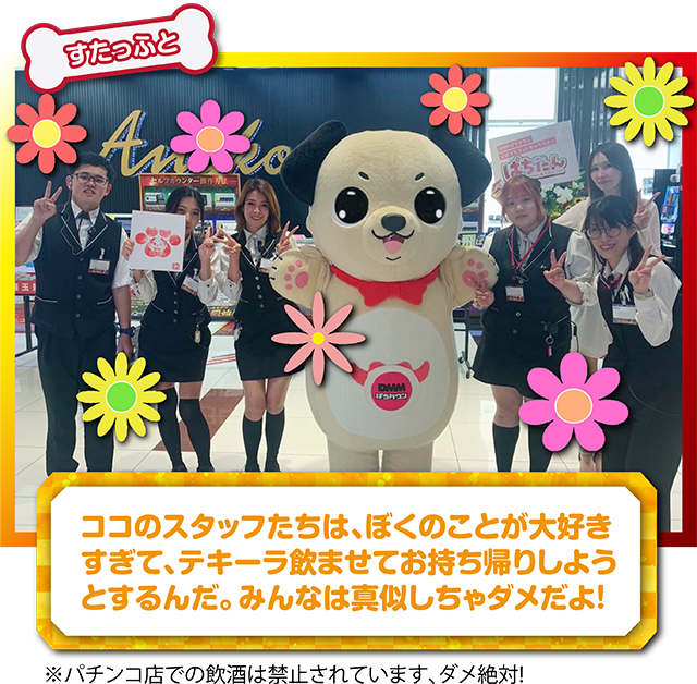 https://cdn.p-town.dmm.com/editor/ライティングZERO/kokohore_wanwan/kekka/2026/09tsuki/0910_ancoal7/top.jpg