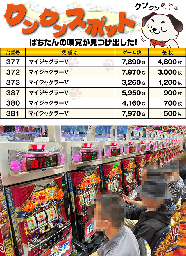 https://cdn.p-town.dmm.com/editor/ライティングZERO/kokohore_wanwan/kekka/2026/09tsuki/0912_prova/top.jpg