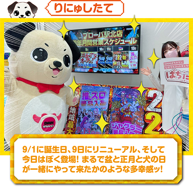 https://cdn.p-town.dmm.com/editor/ライティングZERO/kokohore_wanwan/kekka/2026/09tsuki/0912_prova/top.jpg