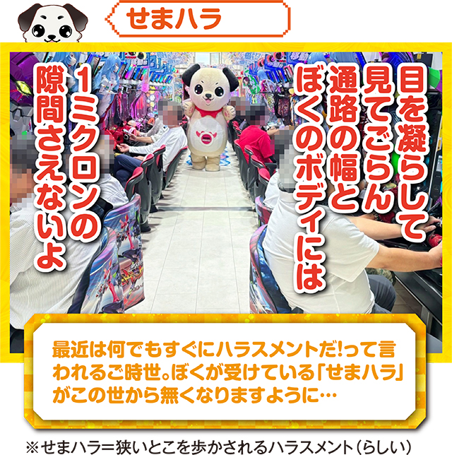 https://cdn.p-town.dmm.com/editor/ライティングZERO/kokohore_wanwan/kekka/2026/09tsuki/0912_prova/top.jpg