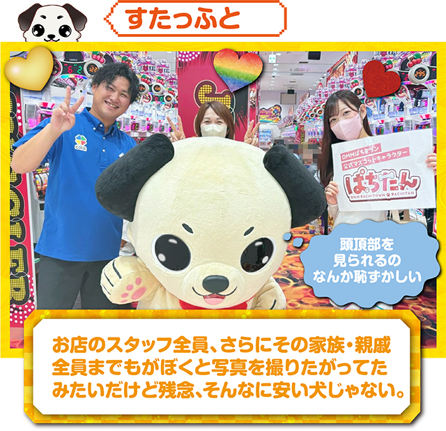 https://cdn.p-town.dmm.com/editor/ライティングZERO/kokohore_wanwan/kekka/2026/09tsuki/0912_prova/top.jpg