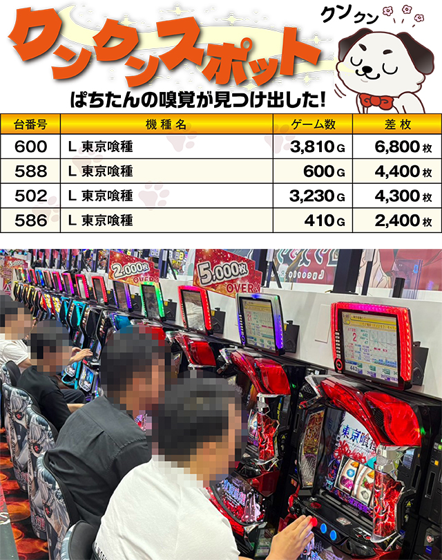 https://cdn.p-town.dmm.com/editor/ライティングZERO/kokohore_wanwan/kekka/2026/09tsuki/0922_prova/top.jpg