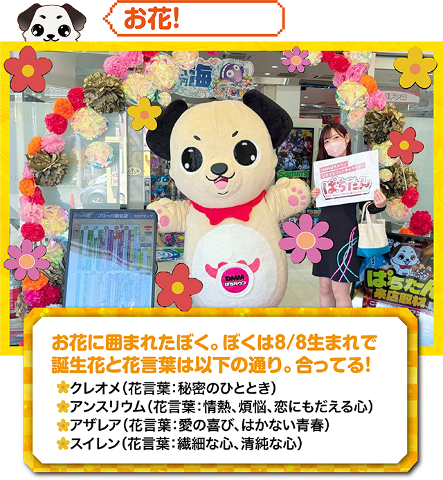 https://cdn.p-town.dmm.com/editor/ライティングZERO/kokohore_wanwan/kekka/2026/09tsuki/0922_prova/top.jpg