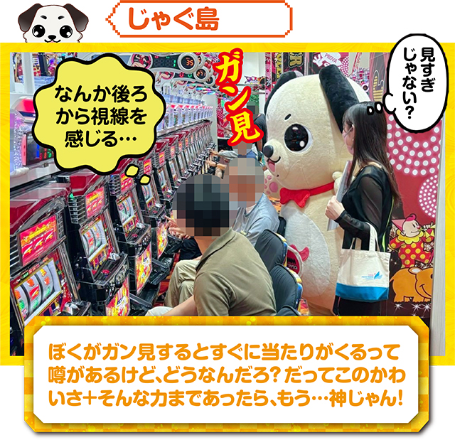 https://cdn.p-town.dmm.com/editor/ライティングZERO/kokohore_wanwan/kekka/2026/09tsuki/0922_prova/top.jpg