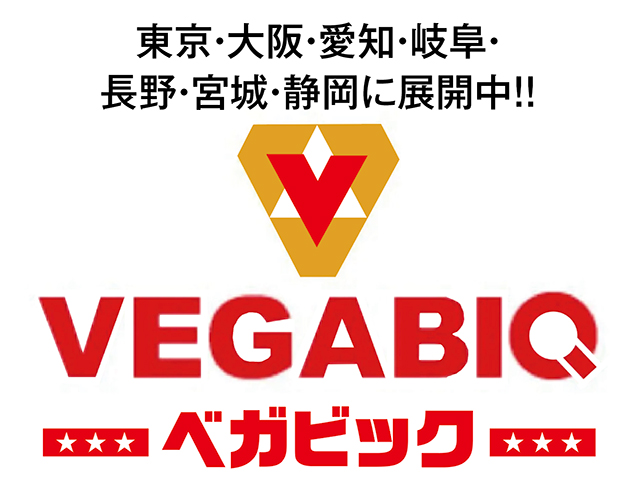 https://cdn.p-town.dmm.com/editor/ライティングZERO/tokusyu_shokunin/2026/07tsuki/0707_vegabig_fuji/01.gif