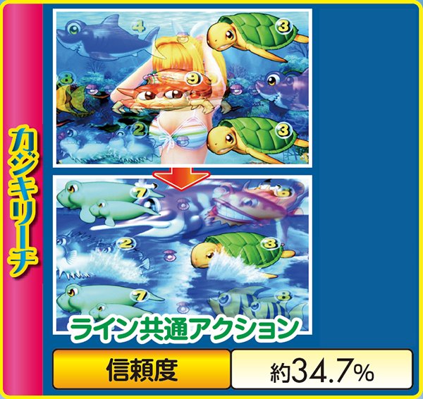 スーパー海物語マリンモード・カジキリーチ信頼度