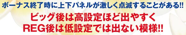 ニューキングハナハナボーナス終了時のパネルフラッシュ