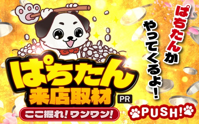 ぱちたん来店取材  ここ掘れ！ワンワン！