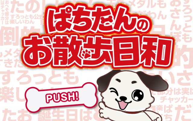 ぱちたんのおともだち作り  ぱちたんのお散歩日和