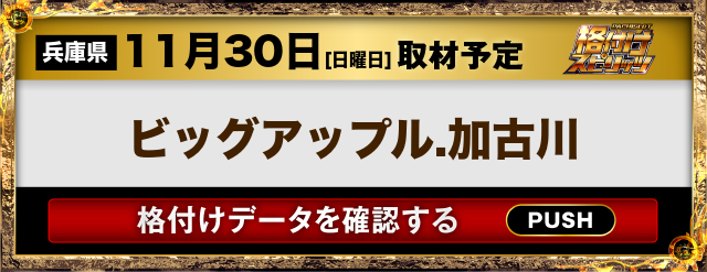 ビッグアップル.加古川